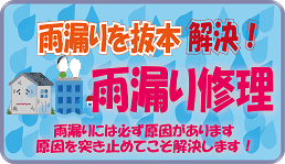 香川県雨漏り修理川田建装